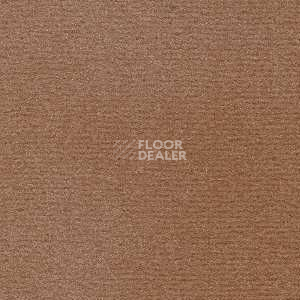 Ковролин Radici Nexus Cacao 2410 фото 1 | FLOORDEALER